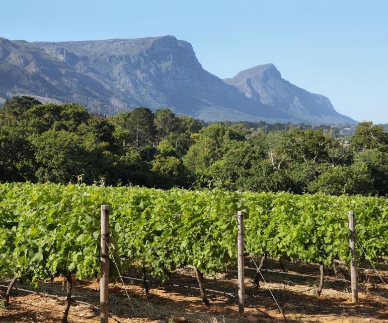 15 On Boundary, Constantia -diep River Area